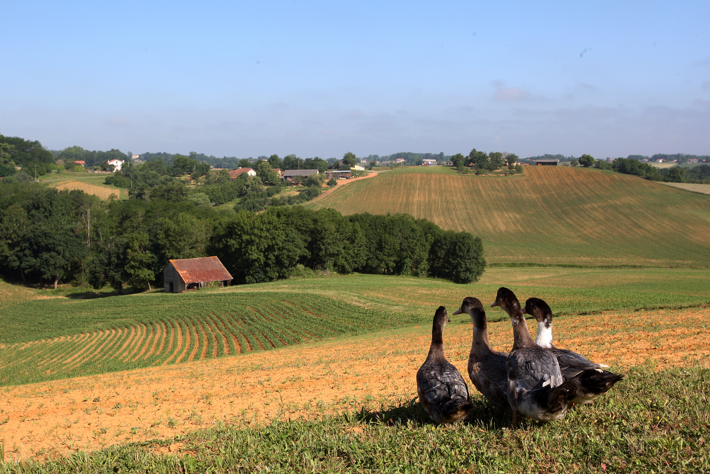 David LeDeodic pour QUALITE LANDES 